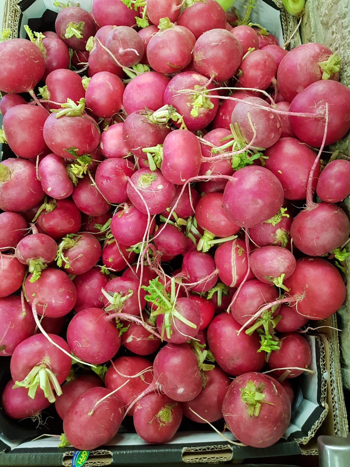 WhatsApp Image 2020-04-19 at 7.02.42 PM (3).jpeg.jpeg